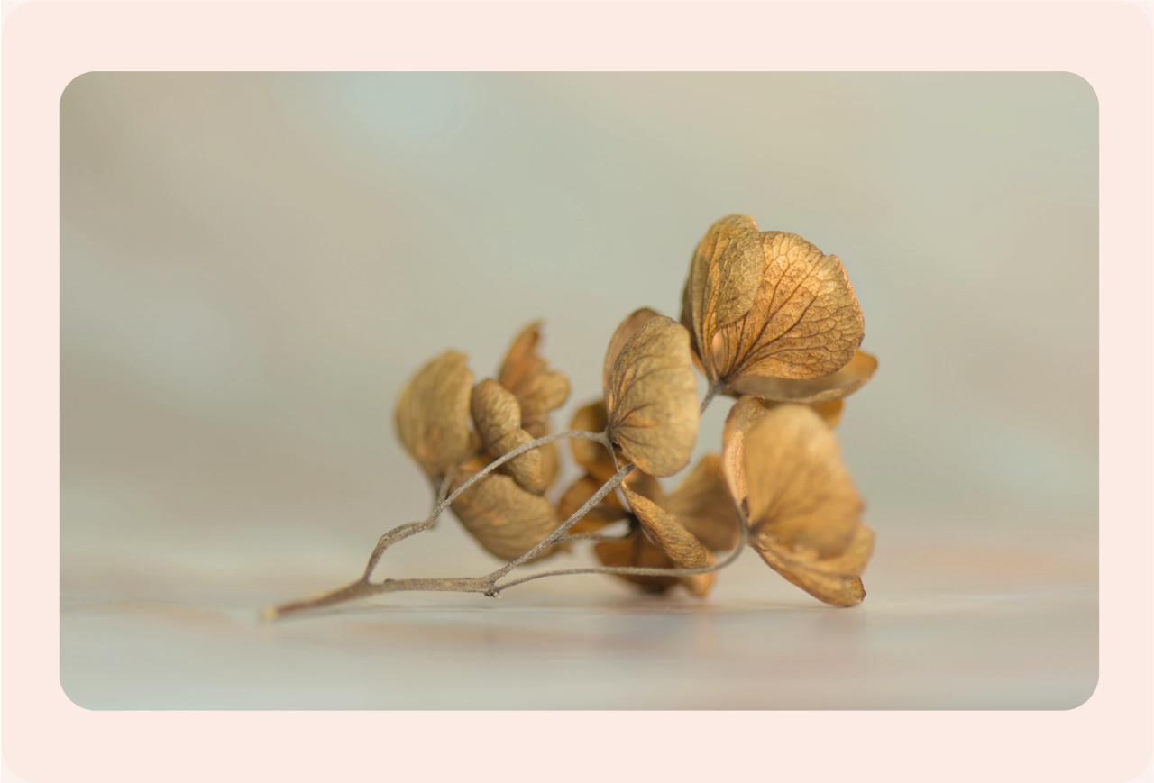 Energetisch therapeut / Coaching